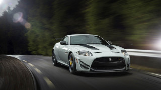 White car forest night headlights - headlight free wallpaper for desktop