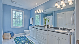 Blue wall white sink toilet - a rug free wallpaper
