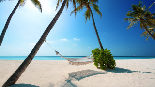 Hammock palm trees beach blue 5 - a blue sky and water free wallpaper for desktop