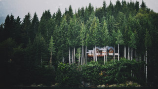 House forest boat trees peaceful - free architecture wallpaper