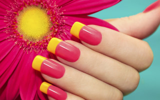 Woman hand pink yellow manicure - a womans hand free wallpaper for desktop