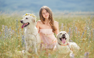 Girl dogs flower field sky - two dog free wallpaper for desktop