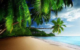 Beach palm tree house ocean 2 - matte painting free wallpaper for desktop