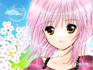 Pink hair yellow eyes flower - a manga drawing free wallpaper
