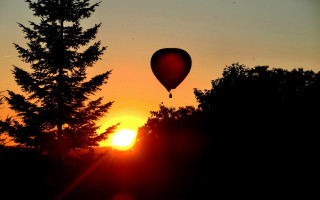 Hotairballoon forest sunset leaves backlighting - a hot air balloon free wallpaper for desktop