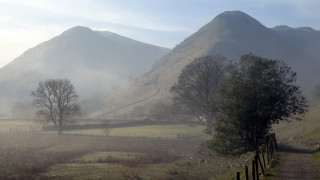 Foggy mountain path tree field - in the foreground free wallpaper for desktop