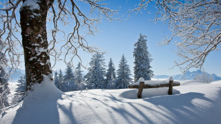 Snowy woodland bench mountain trees - a bench free wallpaper