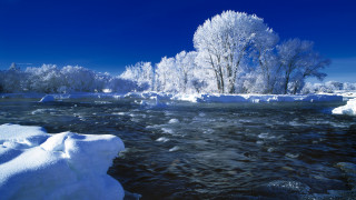 Winter river ice snow trees - a blue sky above free wallpaper