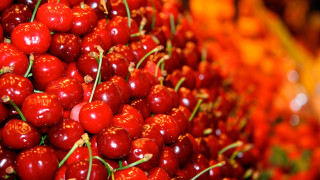 Cherries table blurry background closeup - a table top free wallpaper
