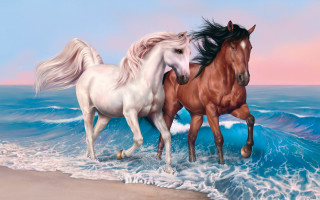 Horses beach ocean waves pink - two horse free wallpaper