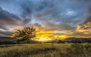 Tree field sunset clouds mountains - a sunset in the background free wallpaper for desktop