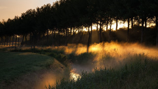 River forest sunset fog light - volumetric light free wallpaper for desktop