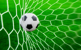 Soccer ball net green grass - green grass free wallpaper