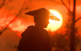 Person hat sunset trees blurry - a hat free wallpaper