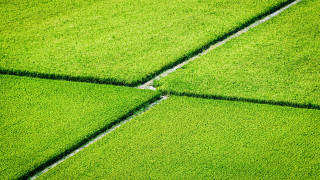 Green field grass patch fence - a small patch of grass free wallpaper