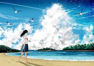 Girl walking beach birds flying - a blue ocean free wallpaper