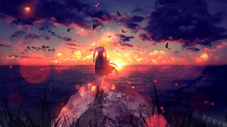 Woman ocean sunset birds neo - a rock in the ocean free wallpaper
