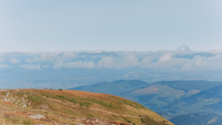 Lone sheep grassy hill mountains - a grassy hill free wallpaper