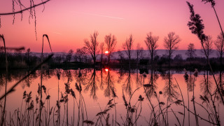 Sunset lake trees grass plane - a sunset over a lake free wallpaper for desktop
