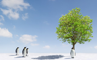 Penguins tree snow sky mountains - ecological art free wallpaper