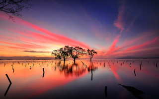 Tree lake sunset colorful sky - a colorful sky in the background free wallpaper