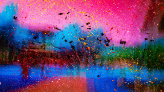 Colorful birds water sky building - a colorful sky in the background free wallpaper