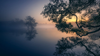 Foggy lake autumn trees sunset - mist free wallpaper