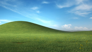 Grassy hill yellow flowers blue - 4 k hd wallpaper free wallpaper