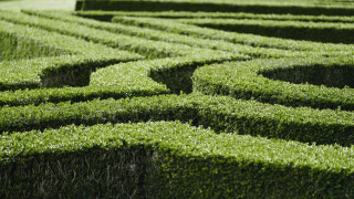 Green hedge maze bird arts 2 - complexity free wallpaper