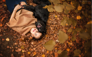Woman dog autumn leaves blackhair - a dog free wallpaper