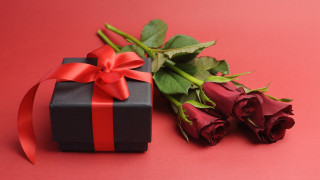 Black box red ribbon rose - a single rose free wallpaper