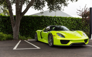 Lime green sports car tree - bright color free wallpaper
