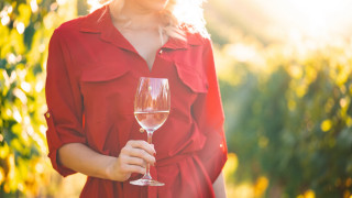 Woman red dress smiling wine - a wine glass free wallpaper