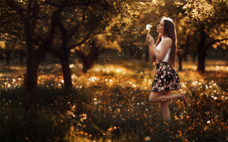 Woman flowers bubbles autumn nature - a woman in a field of flowers free wallpaper