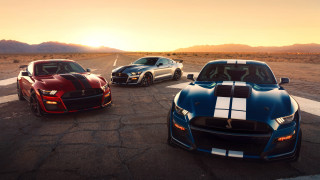 Mustangs sunset parking lot cobra - the sun setting behind them free wallpaper