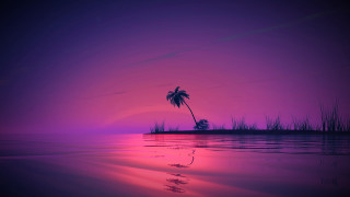 Palm tree sunset purple water - a small island free wallpaper
