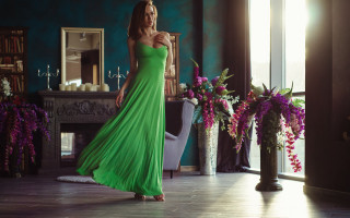 Green dress flower mirror fireplace - elizabeth polunin free wallpaper for desktop