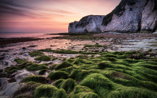 Beach moss cliff ocean sunset - free landscape wallpaper
