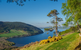 Lake mountain forest bush sky - a grassy area in the foreground free wallpaper