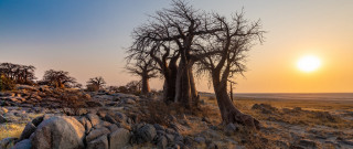 Primitivism trees rocks sunset lake - a rocky area free wallpaper
