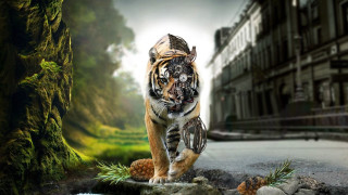 Tiger walking rock street building - biopunk free wallpaper