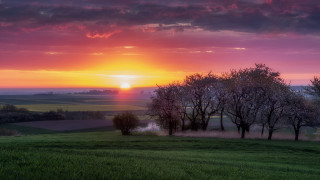 Sunset field trees foggy sky - a sunset over a field free wallpaper