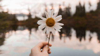 Flower holding lake trees sky - a person holding free wallpaper for desktop