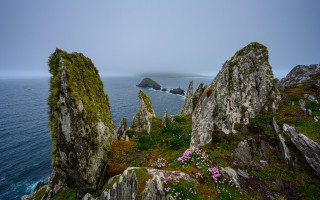 Rocky cliff water flowers nature - a rocky cliff free wallpaper