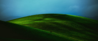 Lone bird grassy hill blue - a grassy hill free wallpaper for desktop