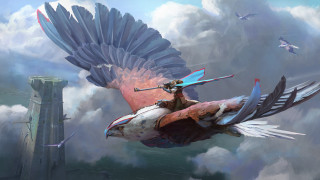 Woman riding bird sword clouds - her hand and a bird free wallpaper