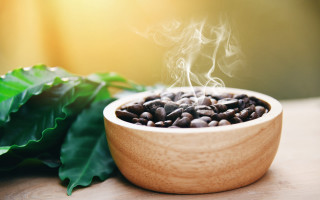 Coffee beans steam bowl plant - steam free wallpaper