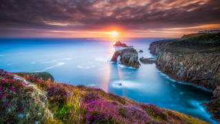 Sunset rocky cliff purple flowers - the ground below free wallpaper