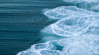 Surfer wave ocean surfboard shore - in the ocean free wallpaper