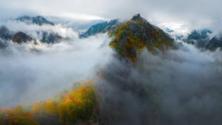 Mountain fog clouds trees misty - mist free wallpaper for desktop